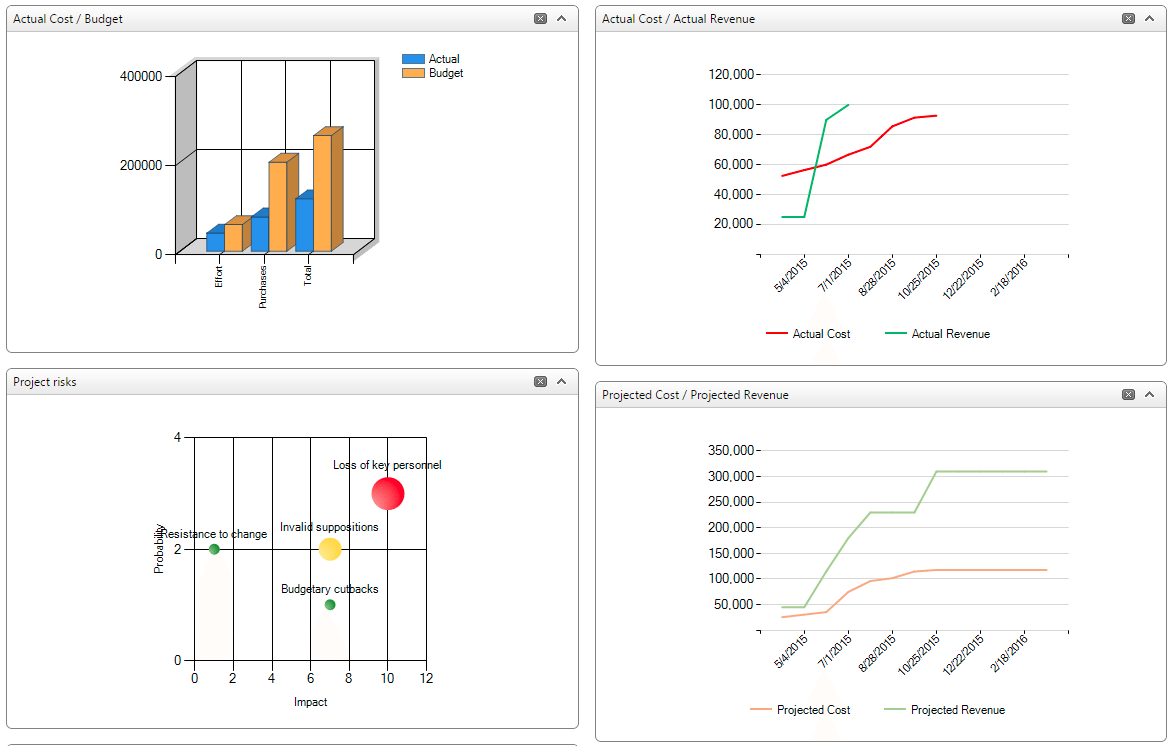 grapghs, diagrams, actual cost/budget, actual cost/revenue, project risks, project cost/projected revenue