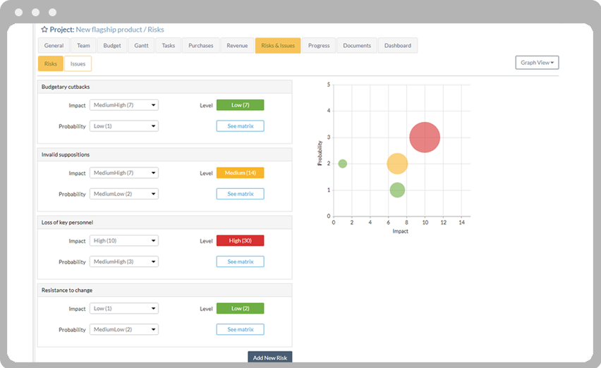 Risk management view