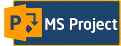 MS Project