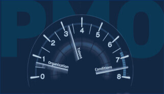 PMO and organization assessment