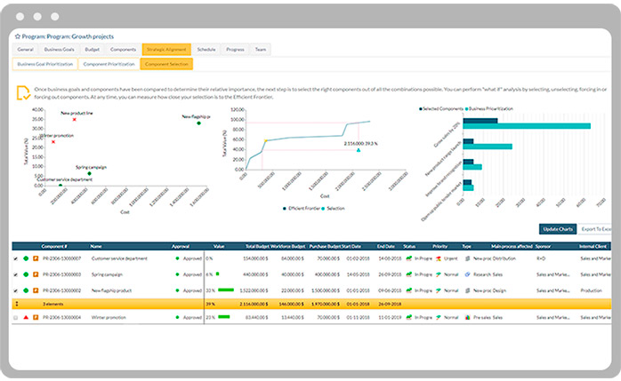 Program management view
