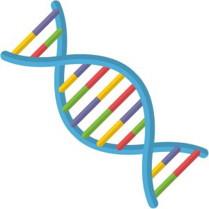 dna, flat design, vector illustration, isolated on white background