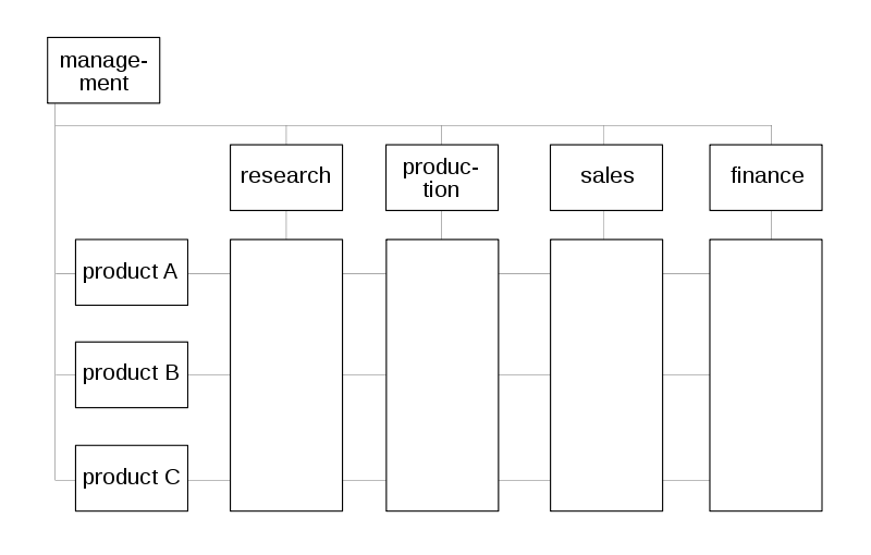 Example of organizational structures: matrix organization