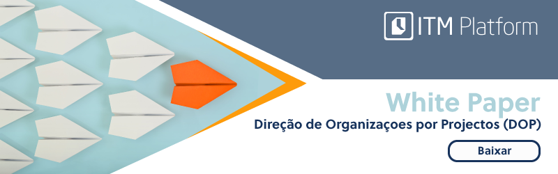 Baixar White paper Direção de Organizaçaoes por Projectos, ITM Platform