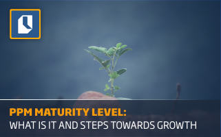 PPM Maturity Level: What Is It and Next Steps Towards Growth