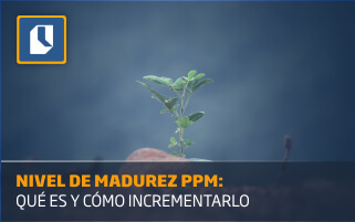 Nivel de madurez PPM: Qué es y cómo incrementarlo