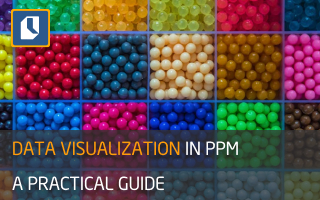 Data Visualization in Project Portfolio Management: A Practical Guide
